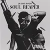 About Soul Reaper Song