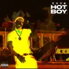 About Hot Boy Song