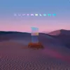 About SUPERBLOOM Song