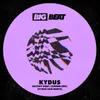 Destiny (feat. Camden Cox) Kydus 5am Extended Mix