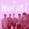 About What Am I SONDR Remix Song