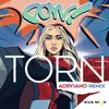 About Torn Adryiano Remix Song