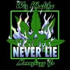 About Never Lie (feat. Moneybagg Yo) Song
