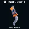 About Dance Monkey Song