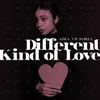 About Different Kind Of Love Song