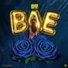 About Bae Song