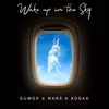 Wake Up in the Sky