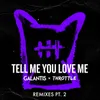 About Tell Me You Love Me Ari Remix Song
