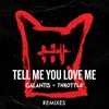Tell Me You Love Me Toby Green Remix