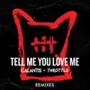 Tell Me You Love Me Two Can Remix