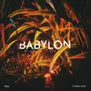 Babylon (feat. Denzel Curry) Skrillex & Ronny J Remix