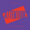 About Attention David Guetta Remix Song