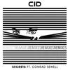 Secrets (feat. Conrad Sewell) Adrian Lux & Carli Remix