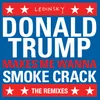 DonaldTrumpMakesMeWannaSmokeCrack Petals Remix