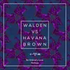 No Ordinary Love Walden's Festival Mix