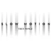 About Slow Motion Song