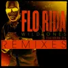 Wild Ones (feat. Sia) Alex Guesta Remix