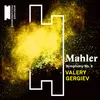 About Mahler: Symphony No. 8 in E-Flat Major, "Symphony of a Thousand", Pt. 1: V. "Infirma nostri corporis" (Live) Song