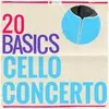 Cello Concerto in B Minor, Op. 104: I. Allegro