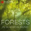 The Mysterious Forest, Six Pieces for Piano, Op. 118: III. The Witch