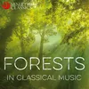 About The Mysterious Forest, Six Pieces for Piano, Op. 118: V. Will o' the wisp Song