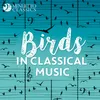 String Quartet in C Major, Op. 33 No. 3, Hob. III:39 "The Bird": II. Scherzo. Allegretto. Trio