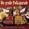 Bömische Bauernpolka