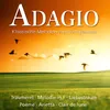 Piano Sonata No. 14 in C-Sharp Minor, Op. 27, No. 2 "Moonlight": I. Adagio sostenuto