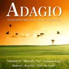 Clarinet Concerto in A Major, K. 622: II. Adagio