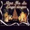 About O selige Nacht Song