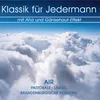 Suite for Orchestra No. 3 in D Major, BWV 1068: II. Air Auszug