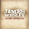 Walking Contradiction Radio Edit