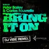 About Bring It On DJ Vibe Remix Song