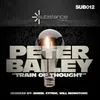 Train Of Thought PB2010 Mix