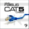 Cat5 Cable Focus Truncate Mix