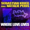 Where Love Lives feat. Natalie Peris Club Mix