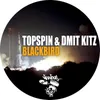 Blackbird Original Mix
