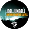 About Autumn Painted Leaves Original Mix Song