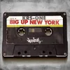 Big Up New York Jaguar Skills Instrumental Remix