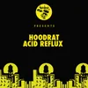 About Acid Reflux Song