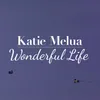 About Wonderful Life Song