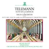 Telemann: Ouverture-Suite for Recorder and Strings in A Minor, TWV 55:a2: II. Les Plaisirs I & II