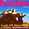 About Pink Sunshine (Acoustic Demo) Song