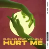 About Hurt Me (feat. WILHELM) Song