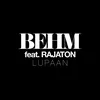 About Lupaan (feat. Rajaton) Song