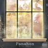 About Panahon Song