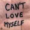 About Can't Love Myself (feat. Mishaal & LPW) Song