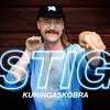 About Kuningaskobra (Vain elämää kausi 11) Song