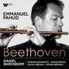 Serenade in D Major, Op. 25: IV. Andante con variazione