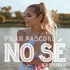 No Sé Karaoke